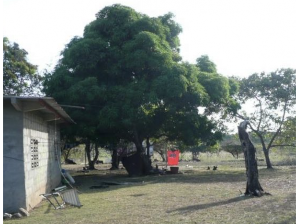 SAN CARLOS / SAN JOSE / TERRENO 2.3 HECTAREAS / POZO DE AGUA JC — foto 3