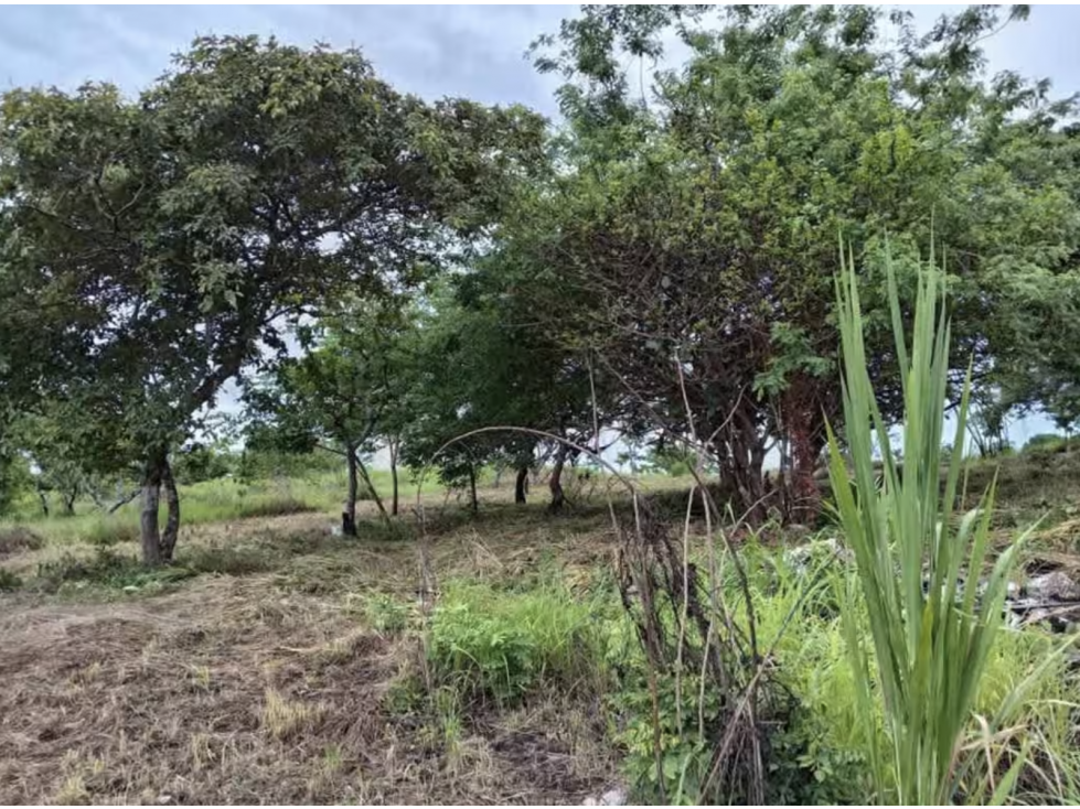 TERRENO / SAN CARLOS / RIO MAR / 1400M / CERCA PLAYA / PLANO JC — foto 5