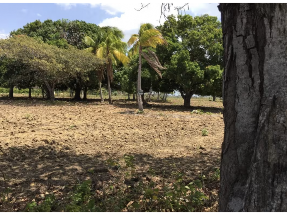 TERRENO / COCLE / RIO HATO / 17,725M / A 300M DE LA PANAMERICANA JC - 6