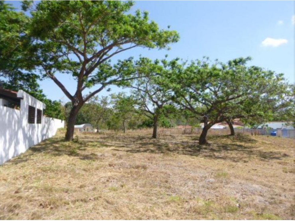 CORONADO / URBANIZACIÓN ALCÁZAR PARK / 2200M / PLANO / FRENTE VIA