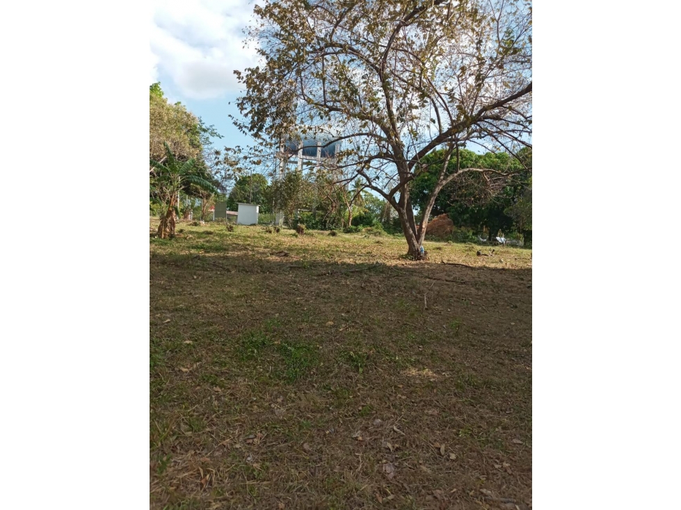 CHAME / CABUYA / 12857M / FINCA CERCA DE RIO / SOBRE LA VIA / AG — foto 5