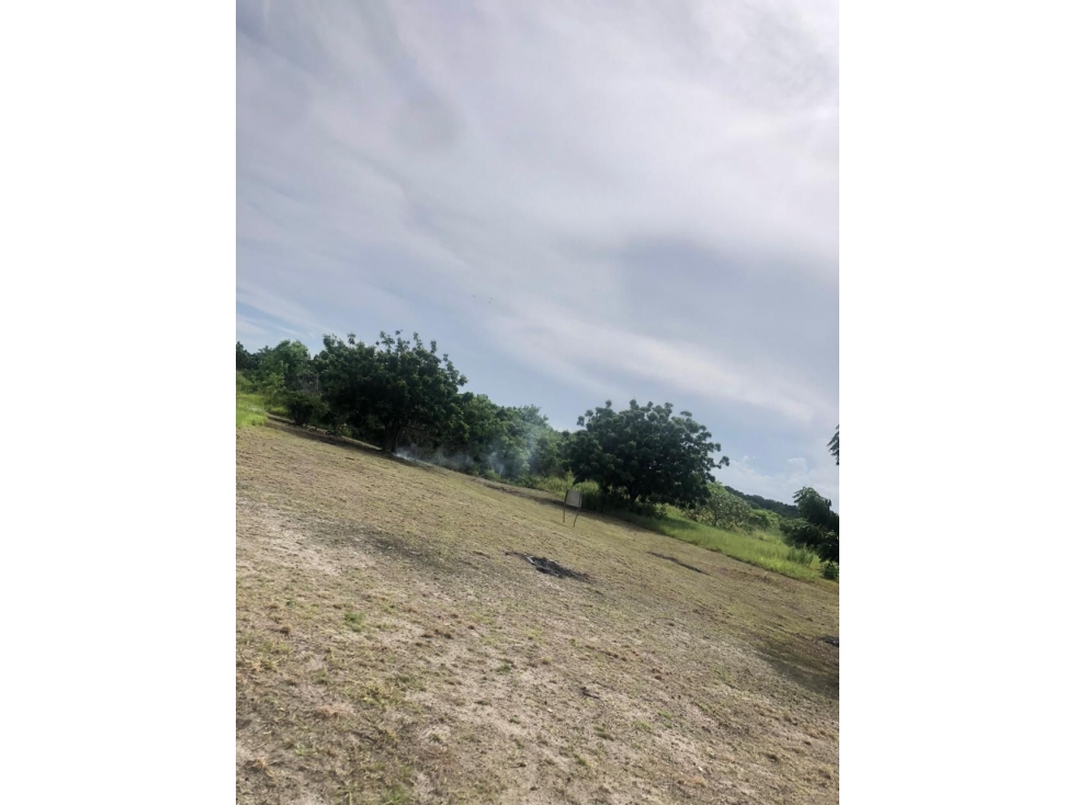 PUNTA CHAME / 1500M / A POCOS METROS DEL MAR / LOTE DE PLAYA AG — foto 6