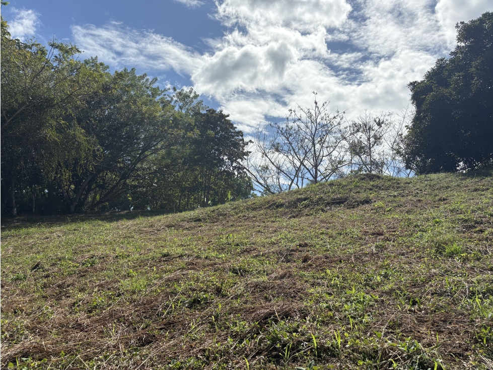 SE VENDE TERRENO DE 1554 M CON VISTA MONTAÑAS AG — foto 6