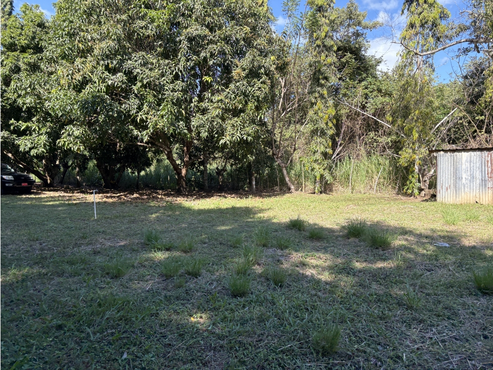 SAN CARLOS / EL ESPINO / 1744 M / TERRENO PLANO / CERCA DE PLAYA / AG — foto 6
