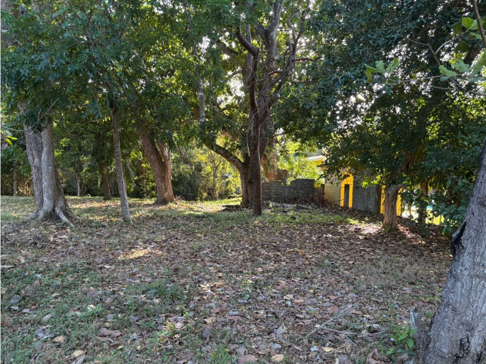 COCLE / SANTA CLARA / TERRENO / 5000 M / SOBRE LA VIA / CERCADO / AG - 6