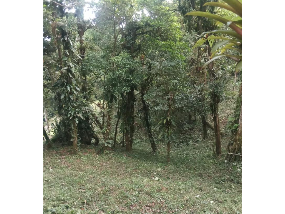 ALTOS DEL MARIA / URB. NAVARRA / 2274M / CLIMA FRIO / FRENTE A CALLE — foto 6