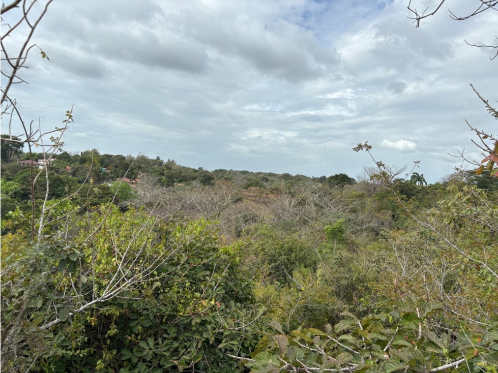 SAN CARLOS / LAS LAGARTIJAS / 250000M / GANADERIA / USO COMERCIAL AG — foto 6