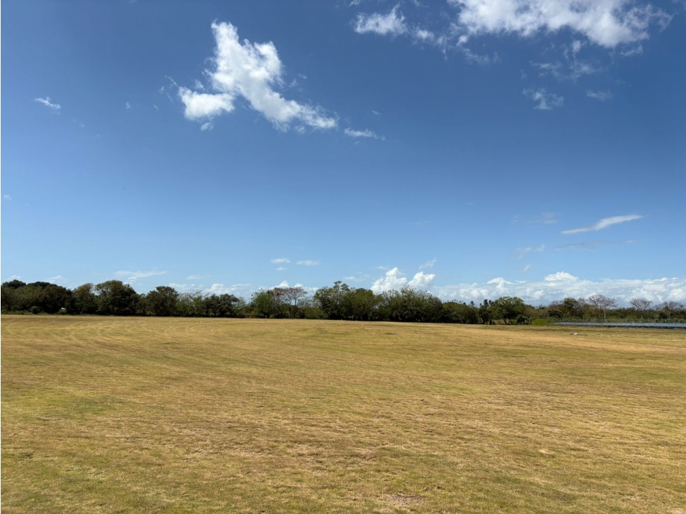 COCLE / RIO HATO / 110 HECTAREAS / SOBRE LA VIA / USO COMERCIAL / AG - 6
