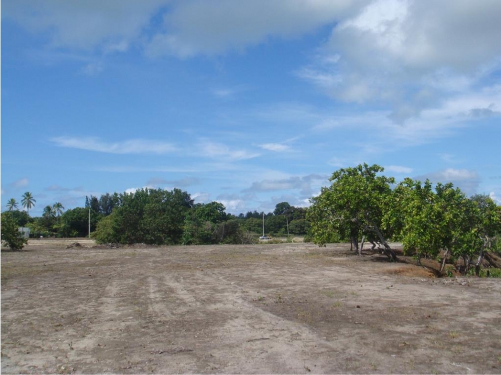 COCLE / SANTA CLARA / 32000M / FRENTE A PANAMERICANA / COMERCIAL / AG - 6