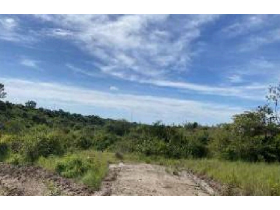 COCLE / LAS GUIAS / 40 HECTAREAS / USO COMERCIAL / SOBRE LA VIA / AG - 6
