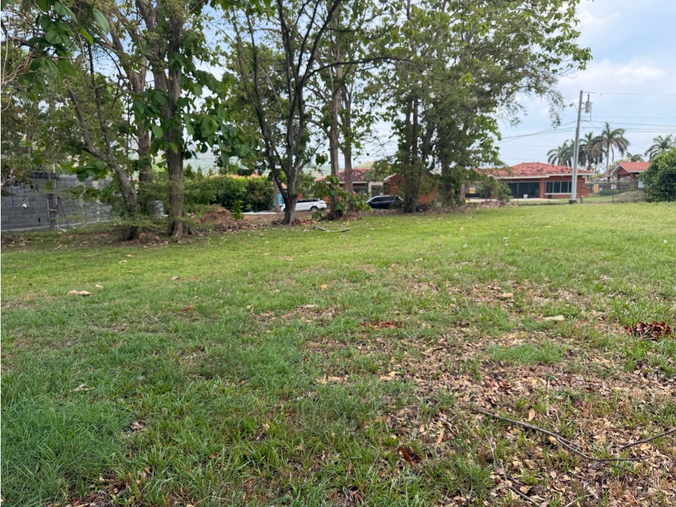 SE VENDE TERRENO EN CHAME CERCA DE LA INTERAMERICA — foto 6