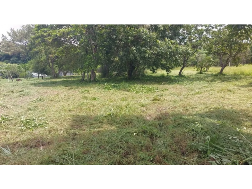 TERRENO / CORONADO / 1,198 M2 / LOTE PLANO / DENTRO DEL CLUB — foto 5
