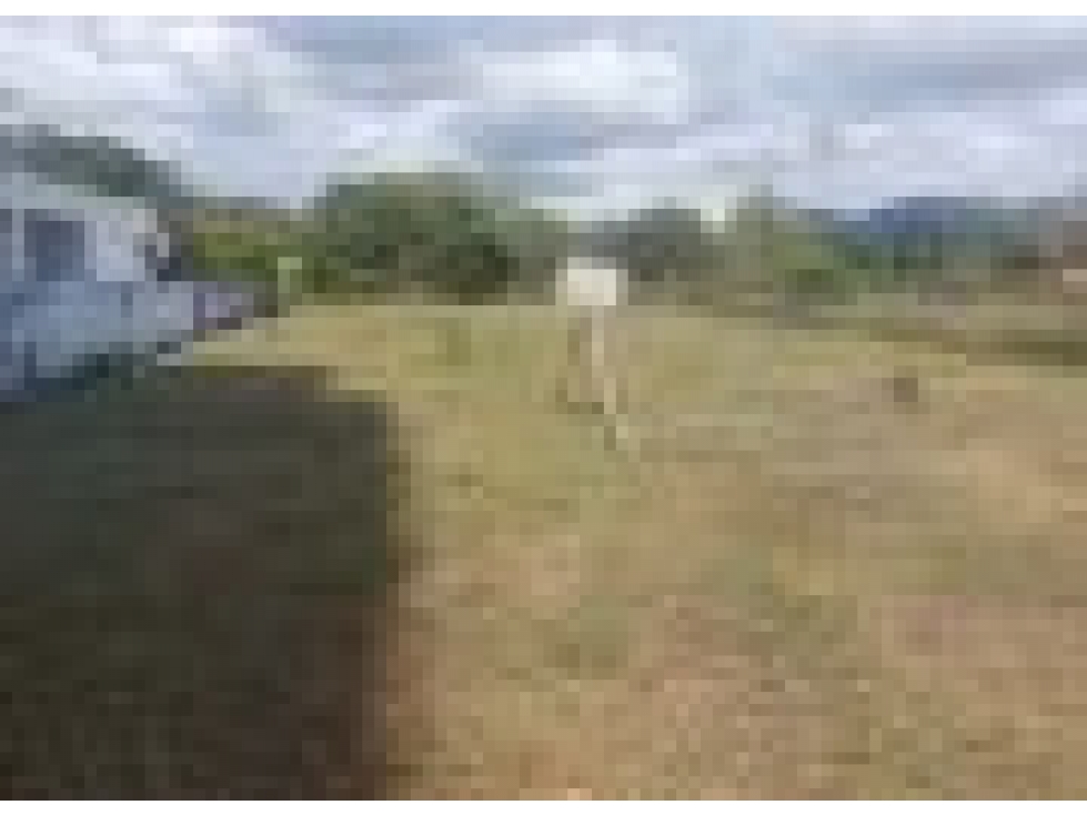 TERRENO / MALIBU / 1000m2 / SEGUNDA LINEA DEL MAR / CERCADO — foto 6