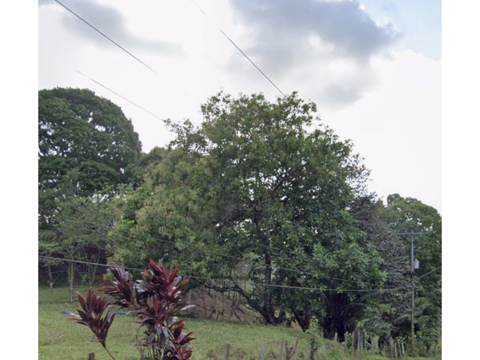 LOTE / CAPIRA / CERMEÑO / 21 HECTAREAS / INVERSION / REMATE — foto 6