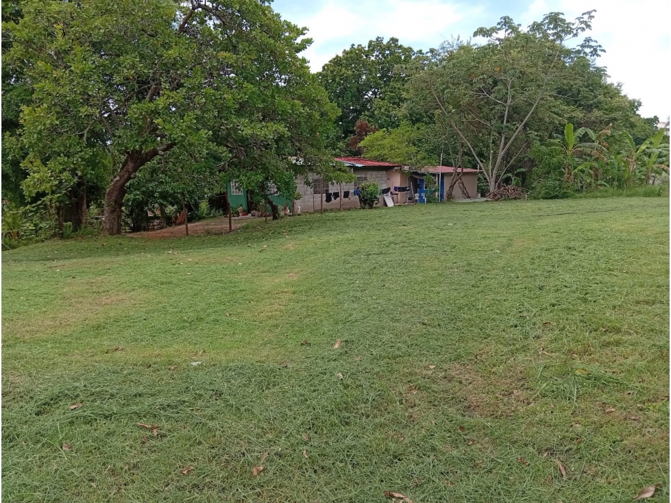 TERRENO / GORGONA / 600 M2 / CLIMAS FRESCOS / CERCA DE LA PLAYA — foto 6