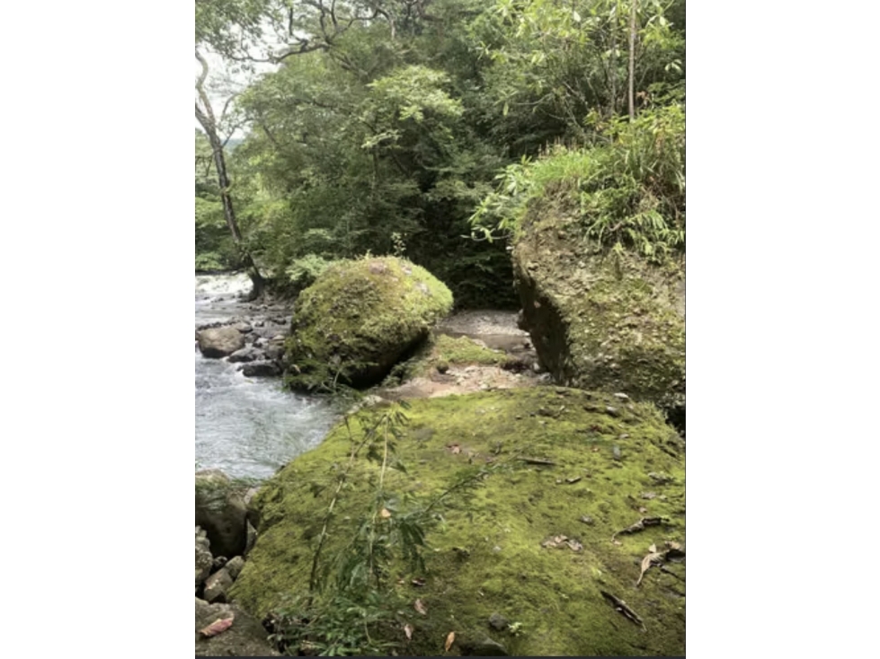 TERRENO / CHAME / ALTOS DE MARIA / 2607 M2 / A MINUTOS DE CASCADA — foto 6