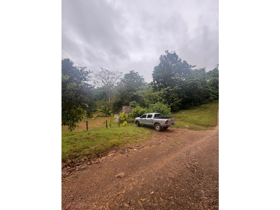 FINCA / COCLE / LA PINTADA / 17 HECTAREAS / FRENTE AL RIO - 5
