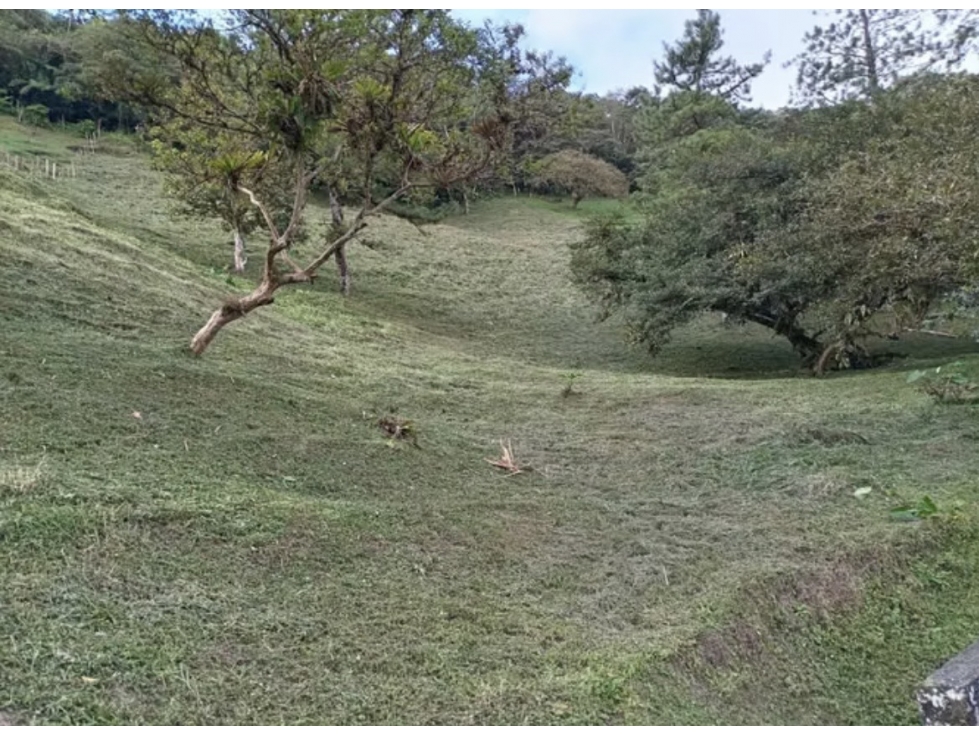 TERRENO / ALTOS DEL MARIA / SANTIAGO APOSTOL / 2621 M2 / AMPLIO — foto 6