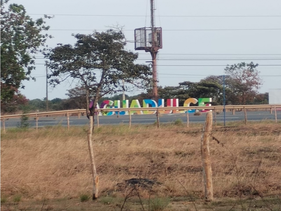 TERRENO / COCLE / AGUADULCE / 2400 M2 / PLANO / VIA ASFALTADA - 6