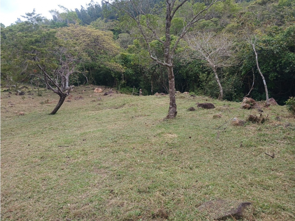 TERRENO / CHAME / CHICA / 2165 M2 / VIA ASFALTADA / CLIMAS FRESCOS — foto 6