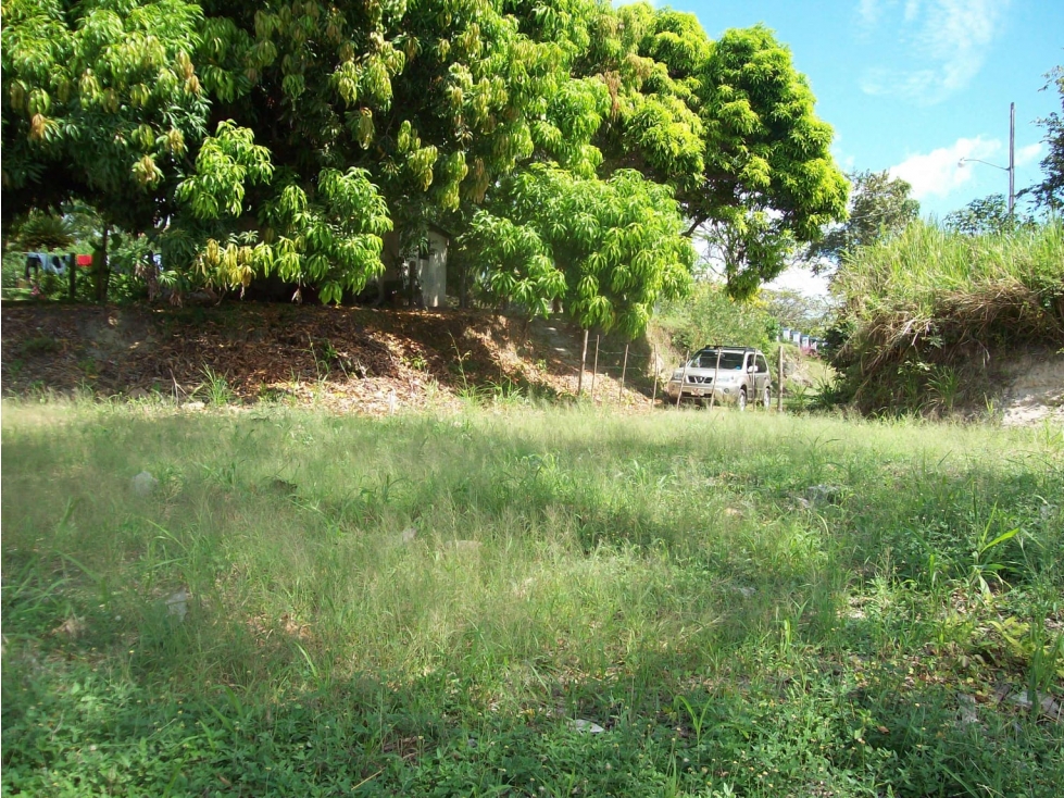 SE VENDE TERRENO EN CORONADO 1543 M2 CON VIA ASFALTADA — foto 6