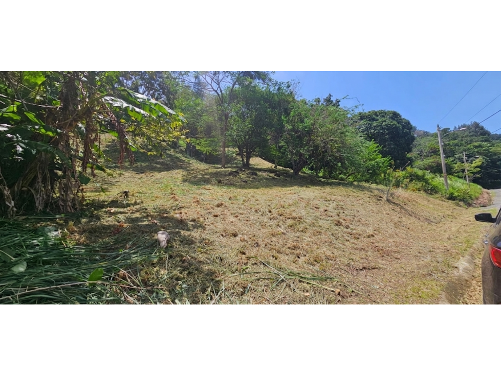 CHAME / ALTOS DE MARIA / 1900 M2 / ARBOLES FRUTALES / ZONAS VERDES — foto 6