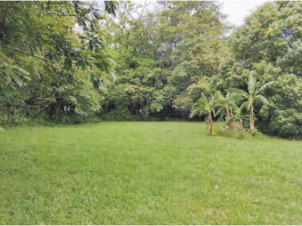 SE VENDE TERRENO EN CHAME BEJUCO 1572 M2 PLANO CON ZONAS VERDES