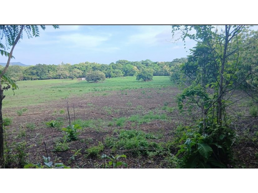 CHAME / BEJUCO / 4.5 HECTAREAS / TERRENO AMPLIO / ZONAS VERDES — foto 4