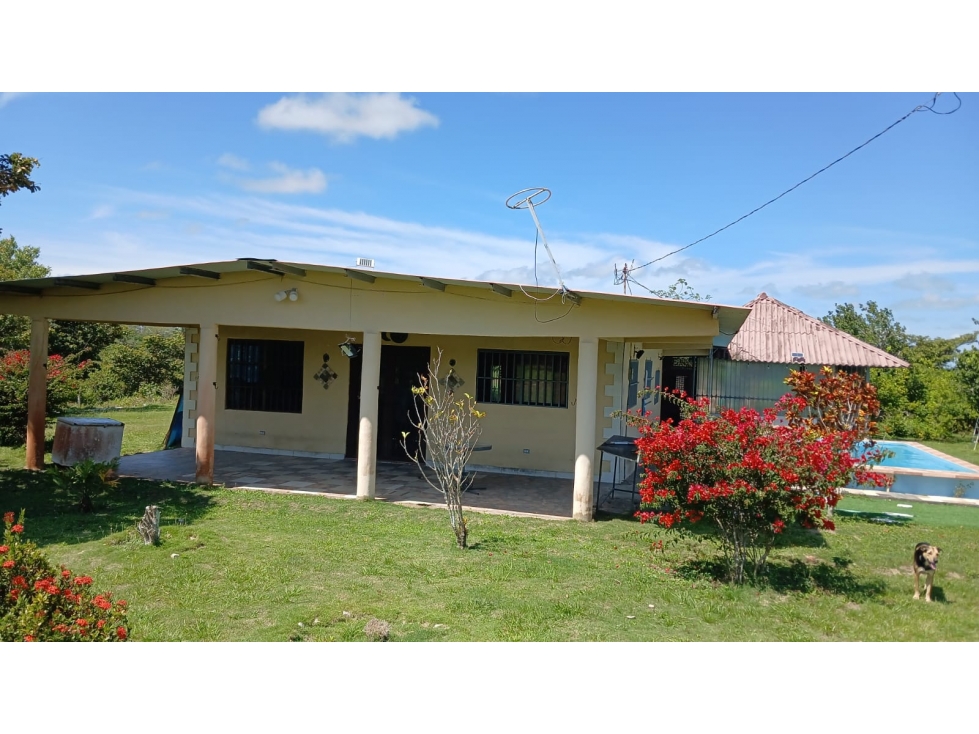 COCLE / ANTON / 19846 M2 / FINCA / CON CASA / PISCINA / ZONAS VERDES - 6