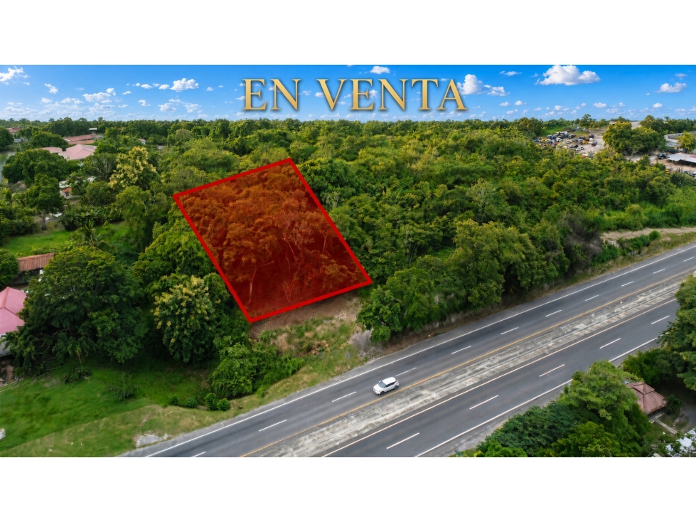 SAN CARLOS / LAS UVAS / 600 M2 / TERRENO PLANO / SOBRE VIA PRINCIPAL - 4