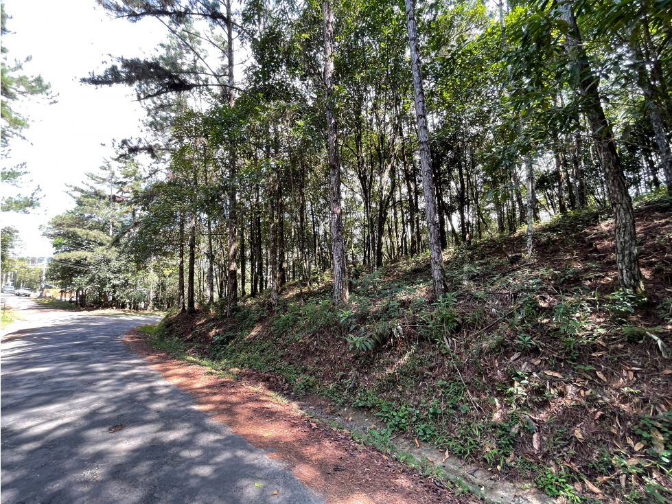 TERRENO / CERRO AZUL / 1301M / CON PAISAJISMO / CLIMA FRIO - 3