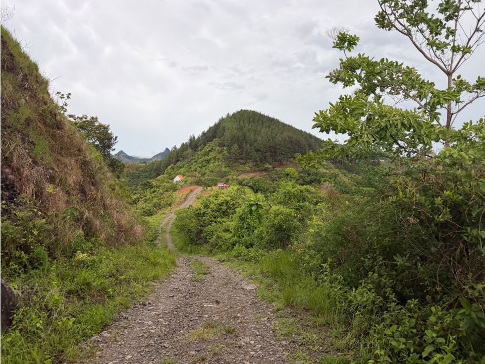 SE VENDE TERRENO EN CHAME SORÁ 21 HECTAREAS CON HERMOSA VISTA AL MAR