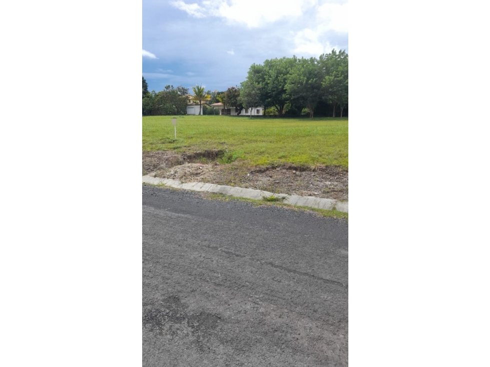 CORONADO / PALMERAS DEL GOLF / 1100 M2 / AMPLIO TERRENO / ZONAS VERDES — foto 4