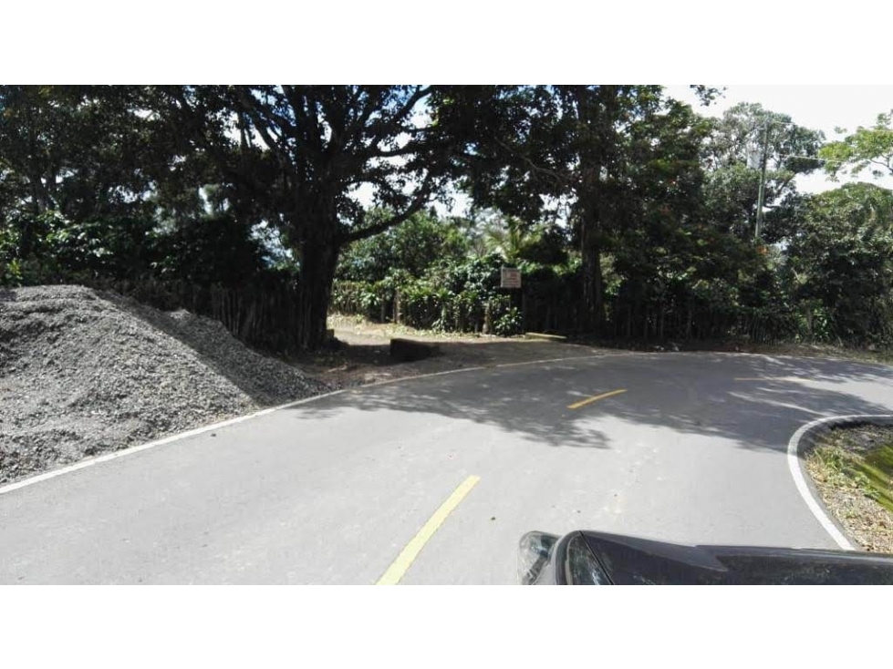 CHIRIQUI / BOQUETE / PALMIRA ABAJO / TERRENO / 1 HECTAREA - 6