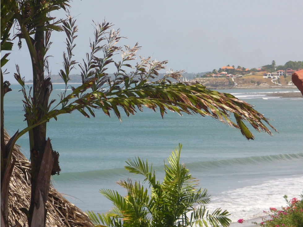 TERRENO / CHAME / 2475 M2 / CORONADO / CON CASA