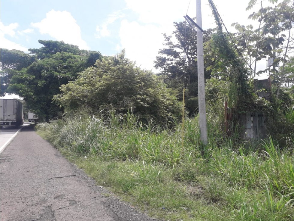 TERRENO / CHAME / BEJUCO / 1118 M / VIA PANAMERICANA / PLAYA