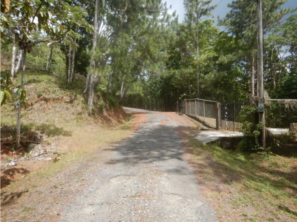 TERRENO / ALTOS DE CERRO AZUL / 2363M / CON PAISAJISMO / CLIMA FRIO - 1