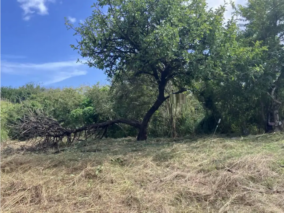 TERRENO / SAN CARLOS / 2200 M2 / PLAYA LA ERMITA / CERCA DEL MAR — foto 5