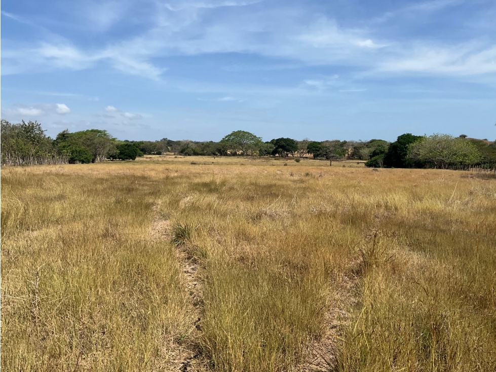 LAS TABLAS / FINCA / 3 HECTAREAS / POZO DE AGUA - 5