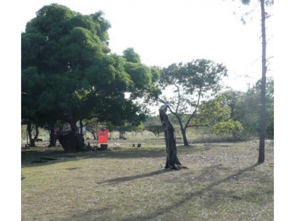 SAN CARLOS / SAN JOSE / TERRENO 2.3 HECTAREAS / POZO DE AGUA JC — foto 5