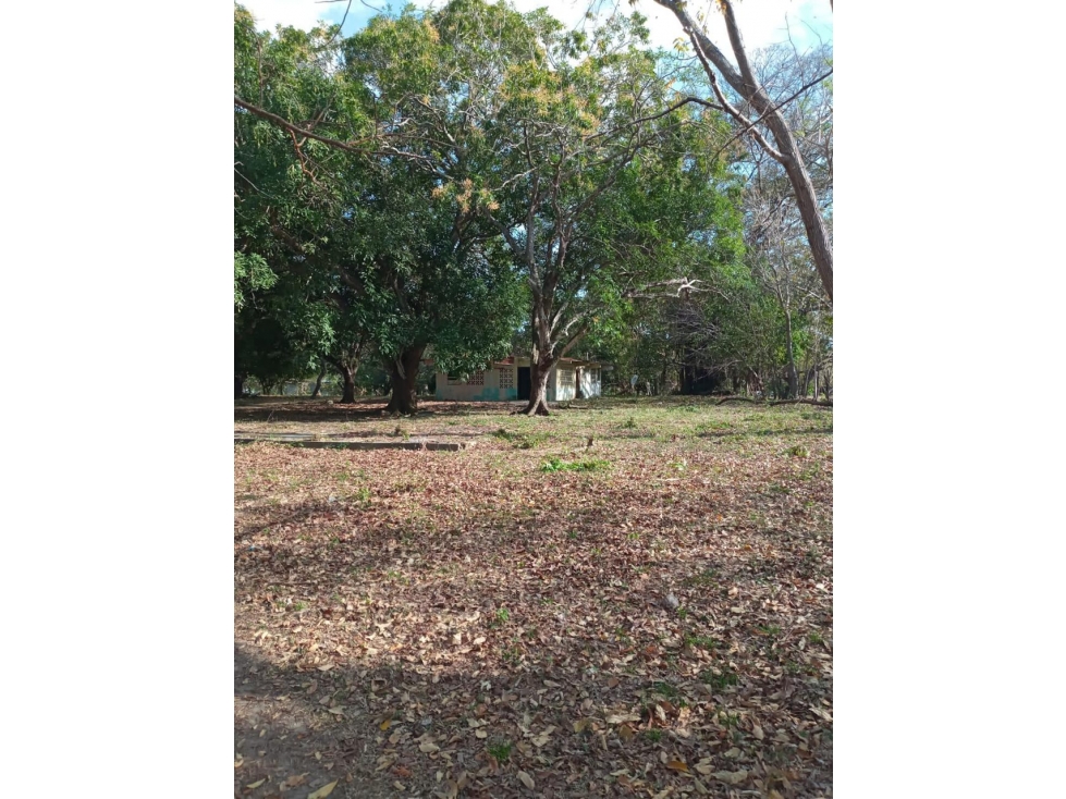 CHAME / CABUYA / 12857M / FINCA CERCA DE RIO / SOBRE LA VIA / AG — foto 6