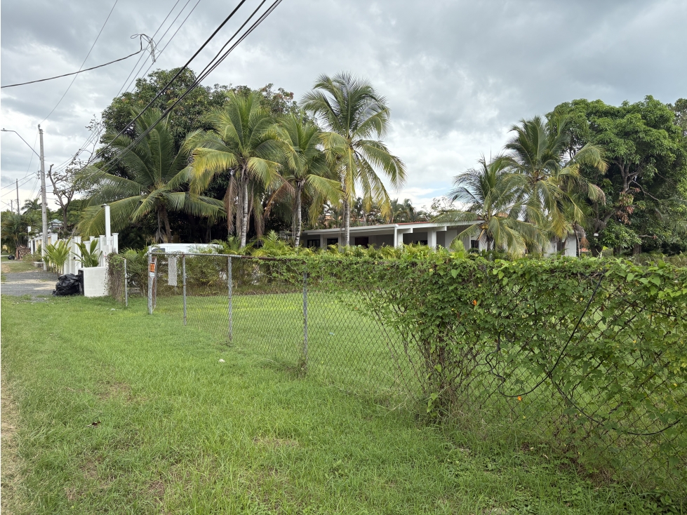 CORONADO / CHAME / 1000 M2 / TOPOGRAFIA PLANA / CERCA DE PLAYA AG — foto 6