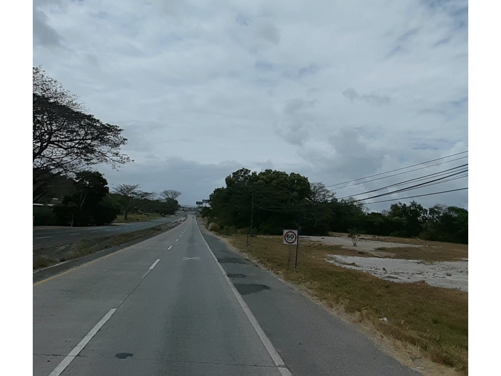 SE VENDE TERRENO DE 1.6 HECTAREAS EN COCLE NATA SOBRE INTERAMERICANA - 2
