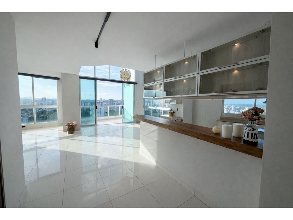 VENTA DE APARTAMENTO LUXURY PH PARK LOFT EN SAN FRANCISCO
