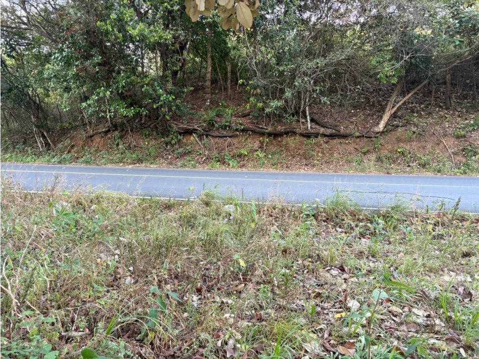 SAN CARLOS / LAS PEÑITAS / 1600M / SOBRE LA VIA / RESIDENCIAL / AG — foto 2