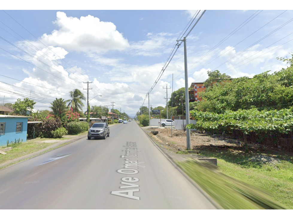TERRENO / BOCAS DEL TORO / CHANGUINOLA / 2442M / AVENIDA PRINCIPAL - 1