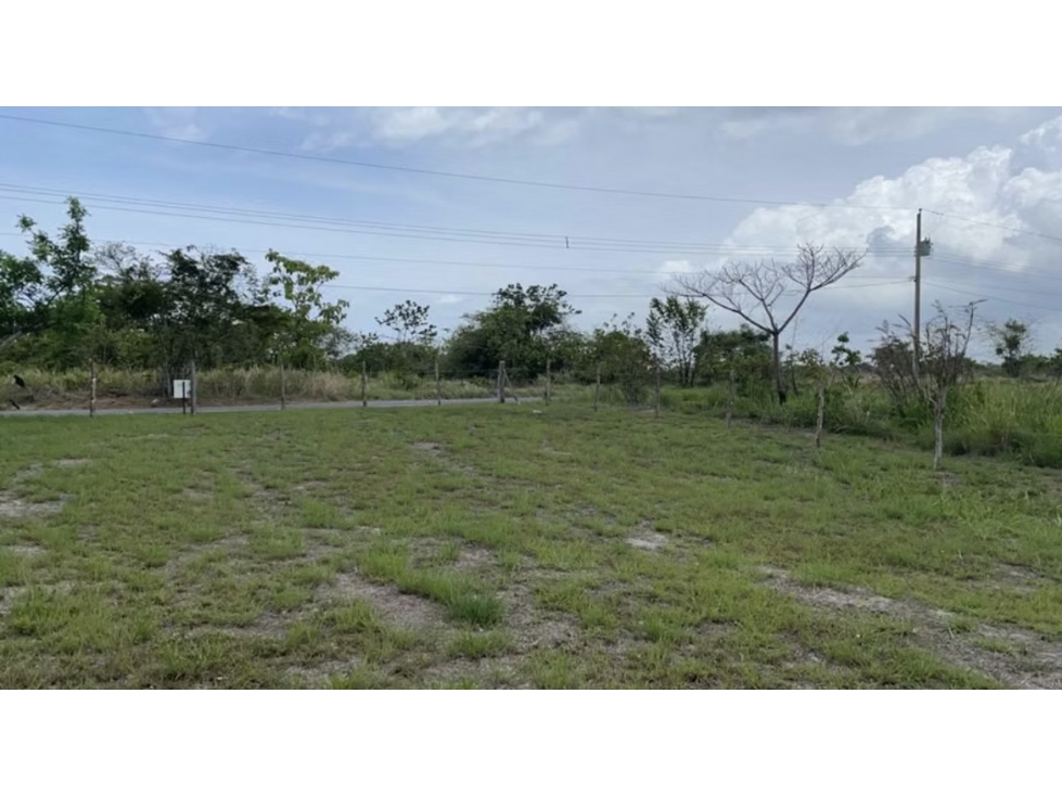 TERRENO / SAN CARLOS / LAGO MAR / 1387 M2 / CERCA DE LA PLAYA — foto 6