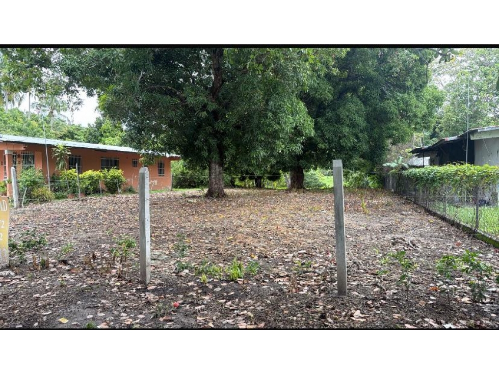 CHAME / BEJUCO / 4.5 HECTAREAS / TERRENO AMPLIO / ZONAS VERDES — foto 6