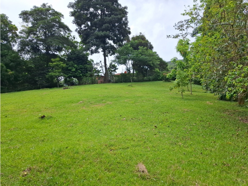 SE VENDE TERRENO 1181M EN CAPIRA CAMPANA ZONAS VERDES Y CLIMAS FRESCOS - 1
