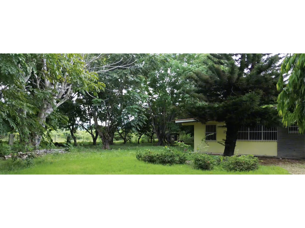 SE VENDE TERRENO 7.9 HECTAREAS EN PENONOME MIRAFLORES CON CASA - 2